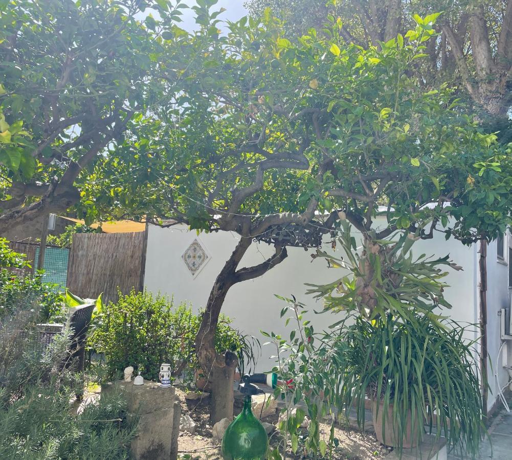 Villa Striano Boutique Capri Dış mekan fotoğraf