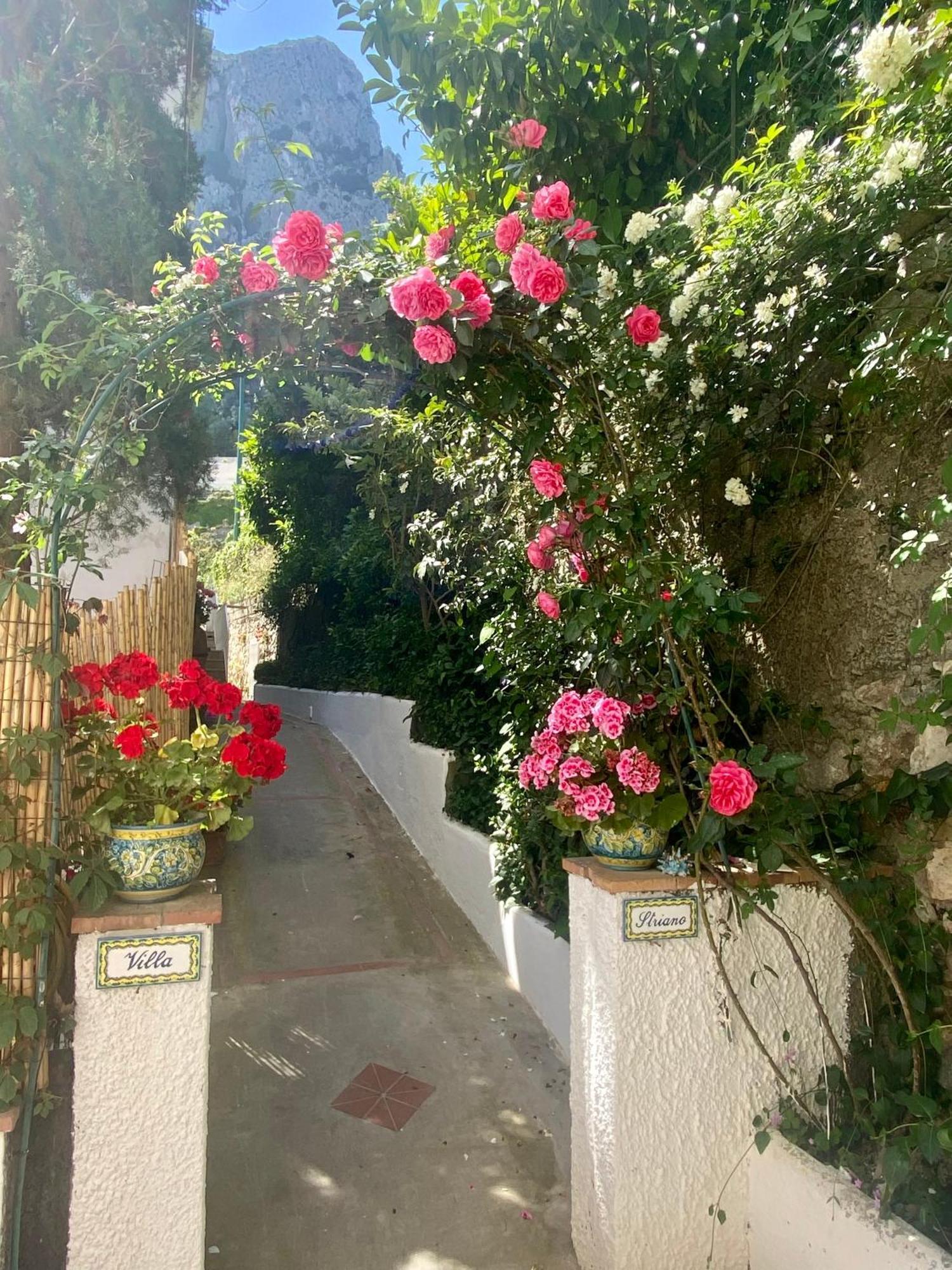 Villa Striano Boutique Capri Dış mekan fotoğraf