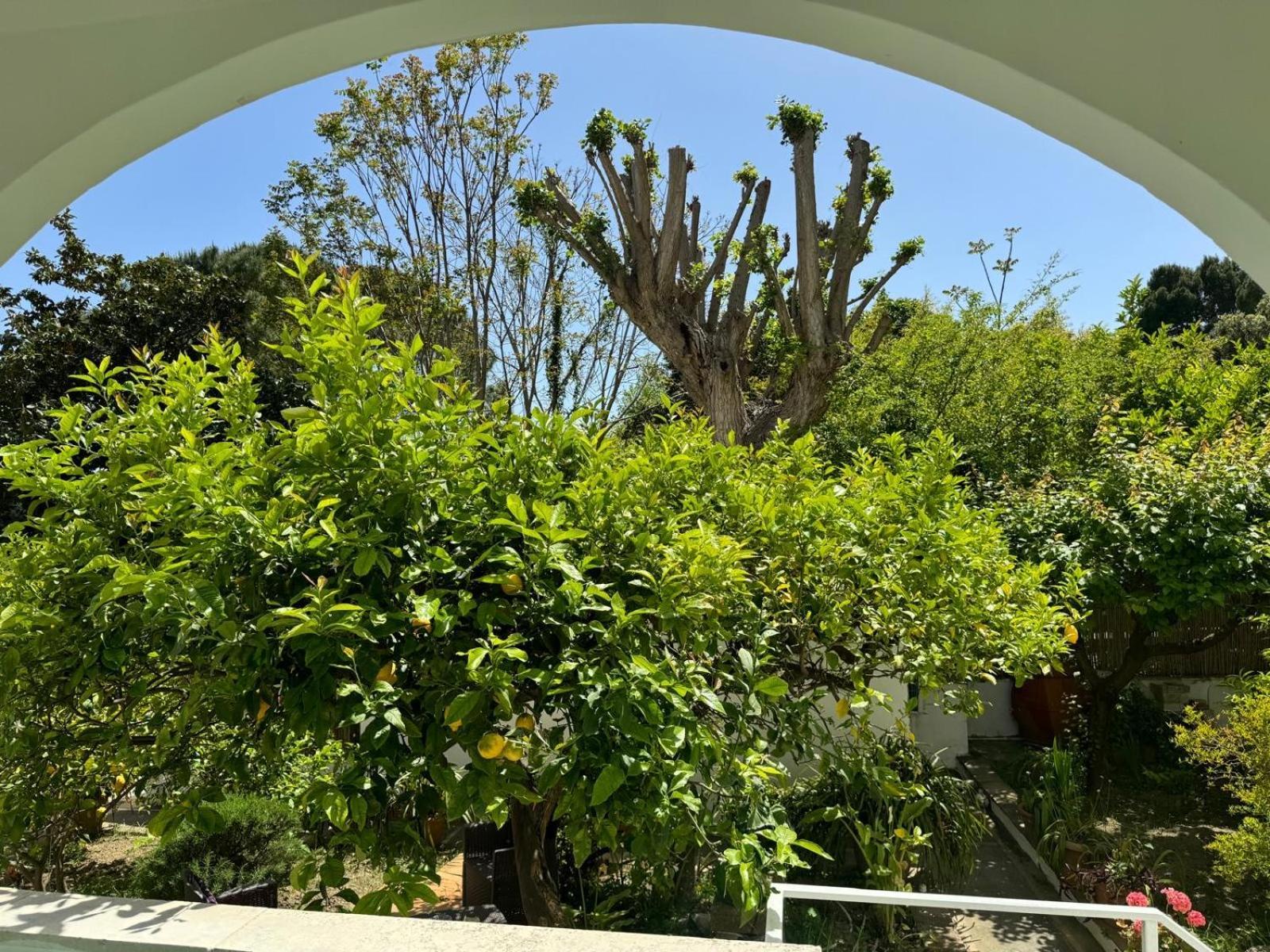 Villa Striano Boutique Capri Dış mekan fotoğraf