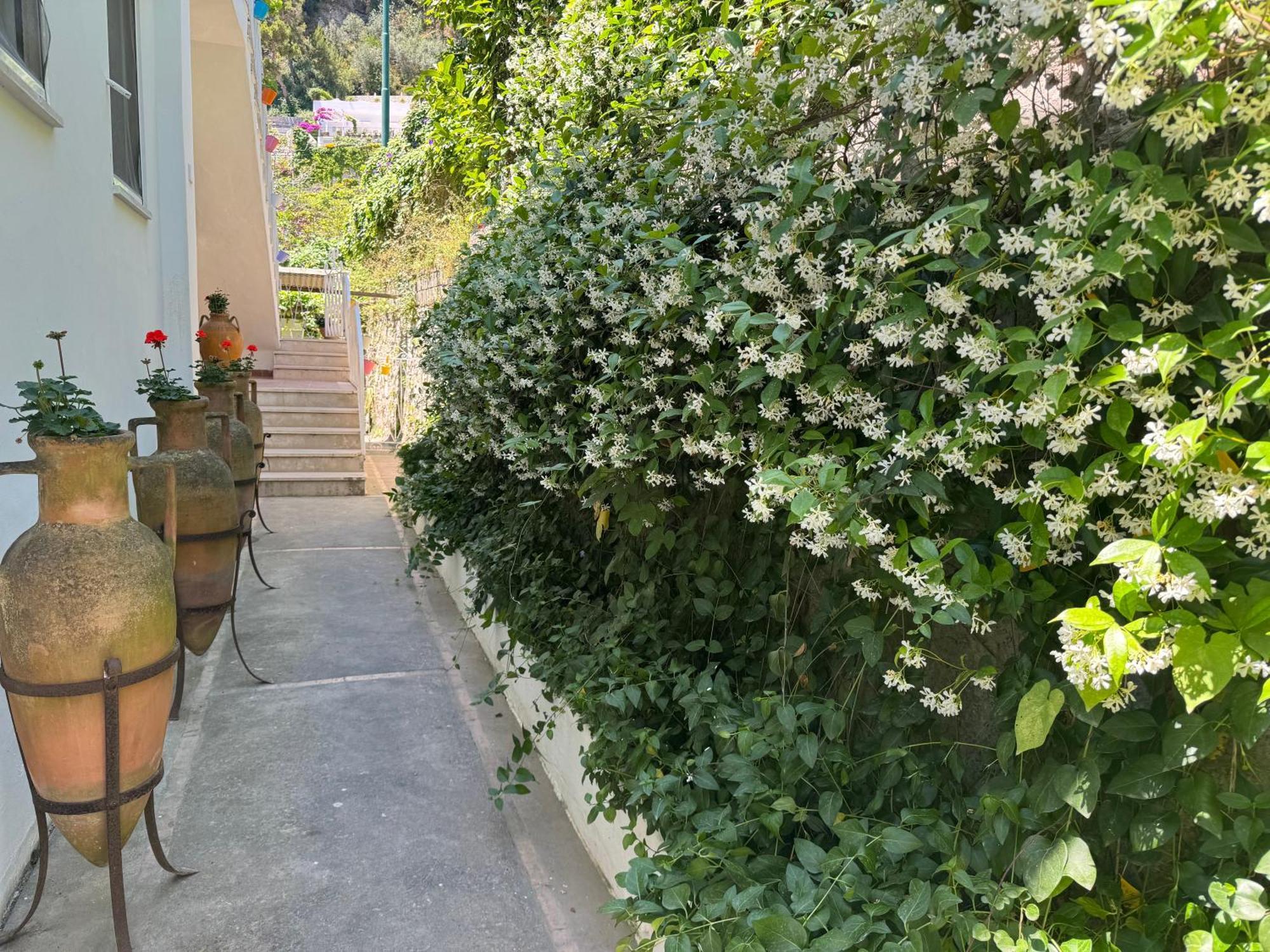 Villa Striano Boutique Capri Dış mekan fotoğraf
