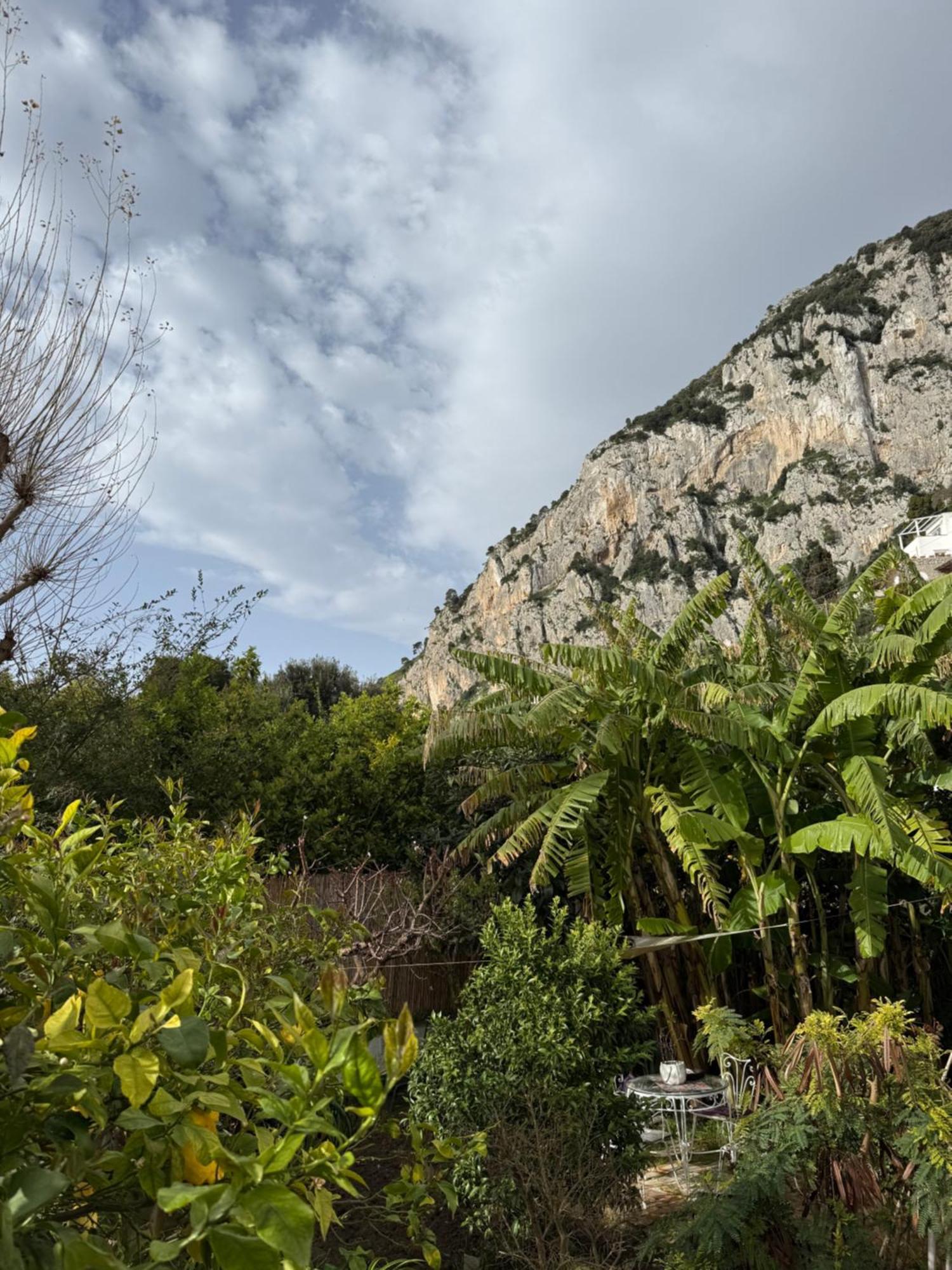 Villa Striano Boutique Capri Dış mekan fotoğraf