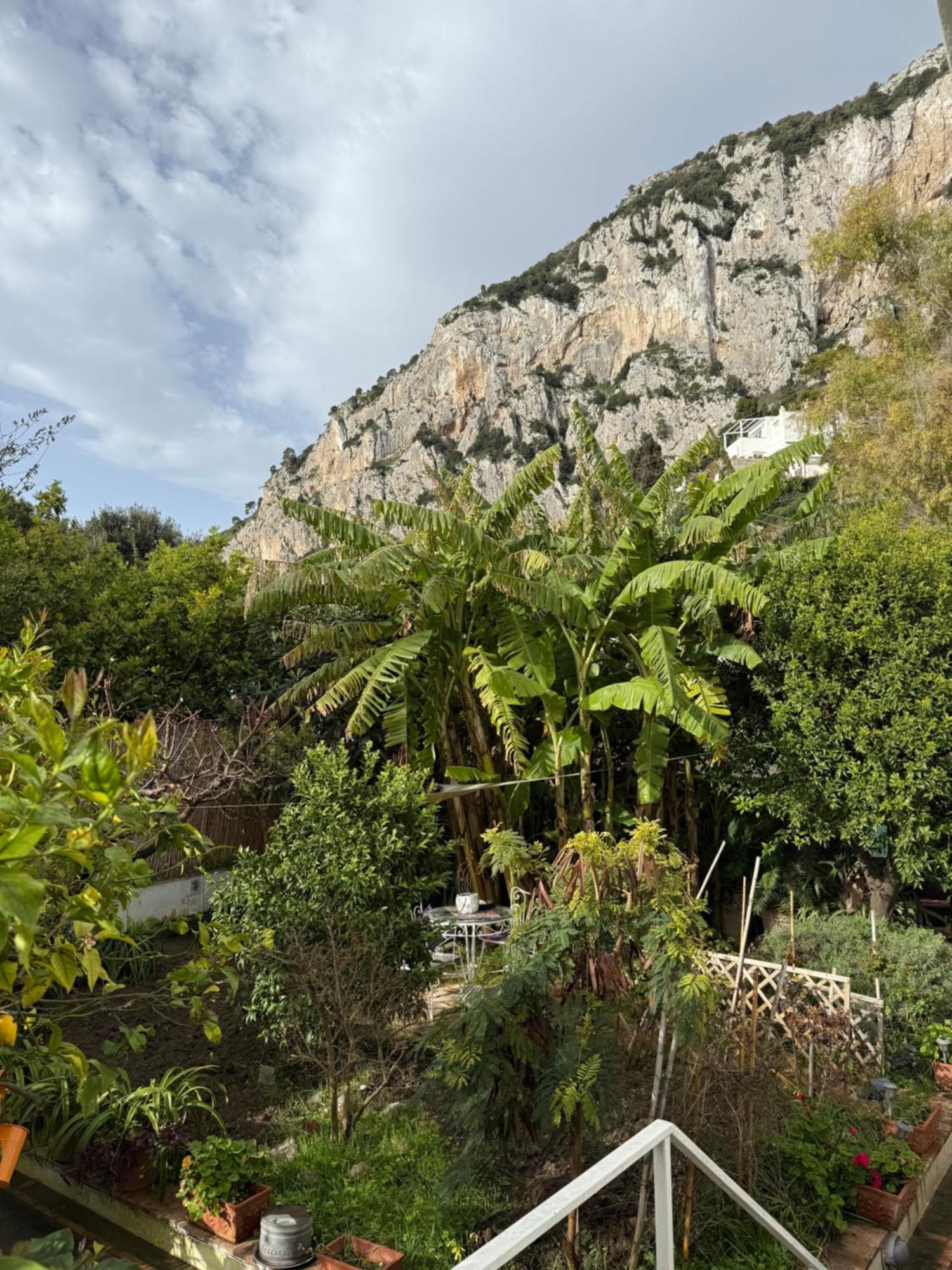 Villa Striano Boutique Capri Dış mekan fotoğraf