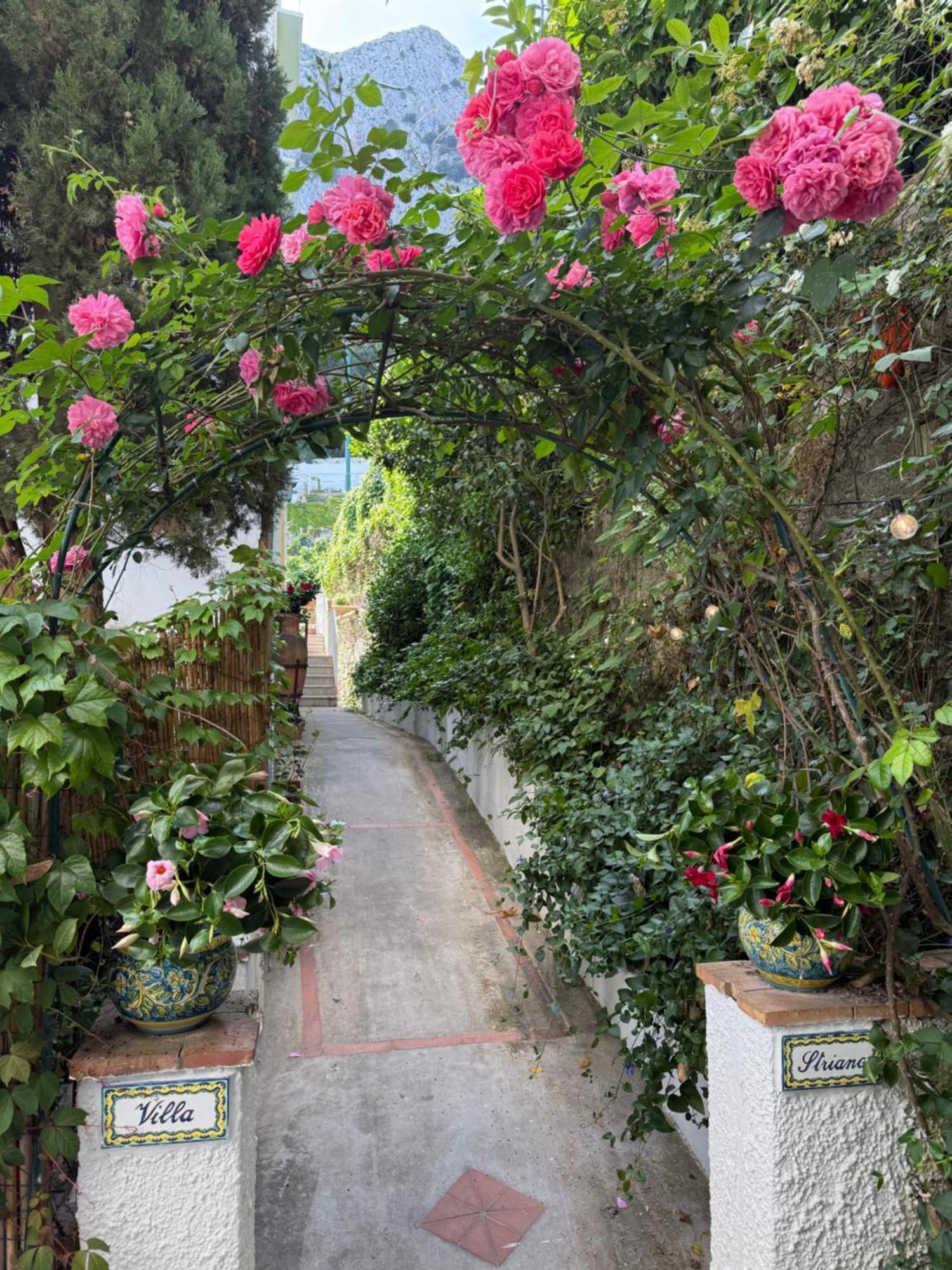 Villa Striano Boutique Capri Dış mekan fotoğraf