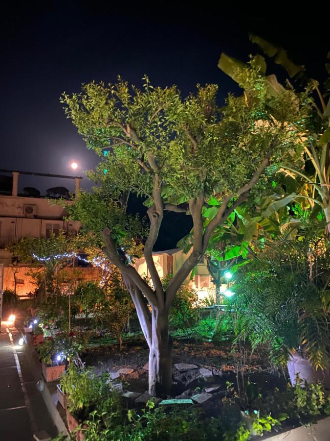 Villa Striano Boutique Capri Dış mekan fotoğraf